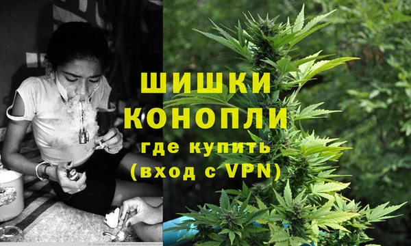 трава Ладушкин