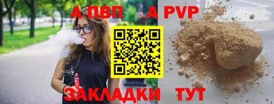 шишки Новодвинск
