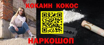 шишки Новодвинск