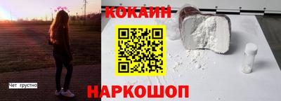 шишки Новодвинск