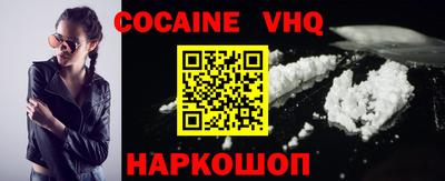 шишки Новодвинск