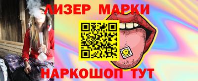 шишки Новодвинск