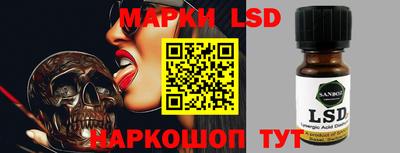 шишки Новодвинск