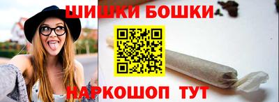 шишки Новодвинск