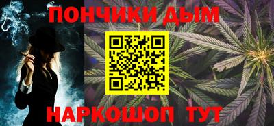 шишки Новодвинск
