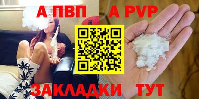 шишки Новодвинск