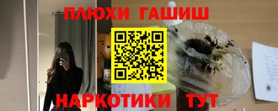 шишки Новодвинск