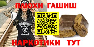 шишки Новодвинск