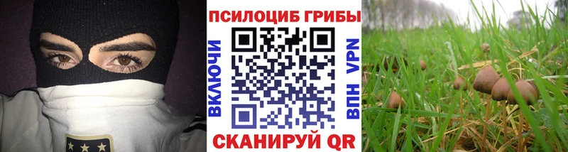 Псилоцибиновые грибы мицелий  как найти закладки  Рассказово 