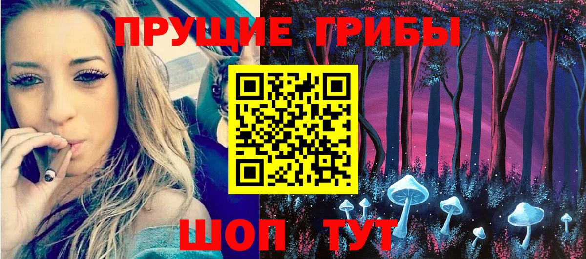 Псилоцибиновые грибы Psilocybe Рассказово