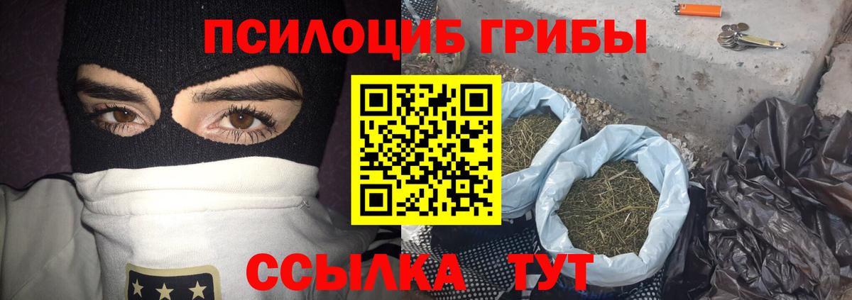 Рассказово  Галлюциногенные грибы мицелий  Вход с VPN 